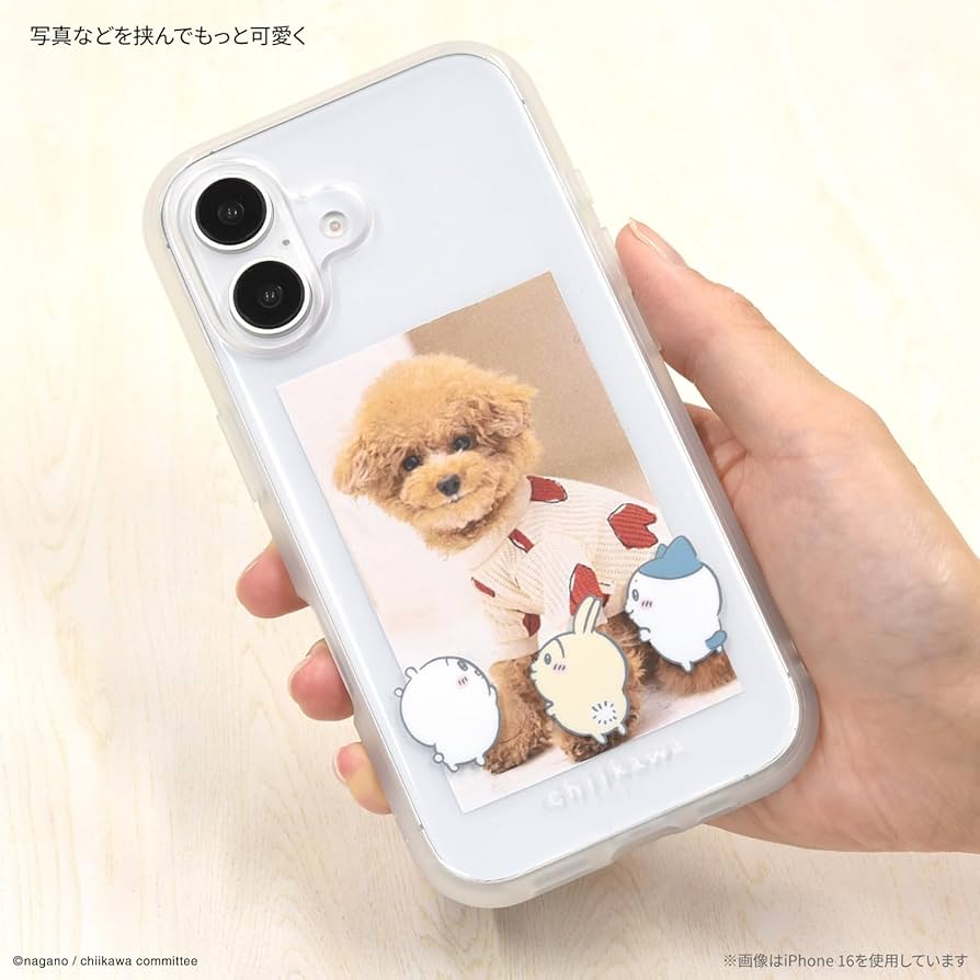 ちいかわ Amazon.co.jp: グルマンディーズ ちいかわ IIIIfit Clear